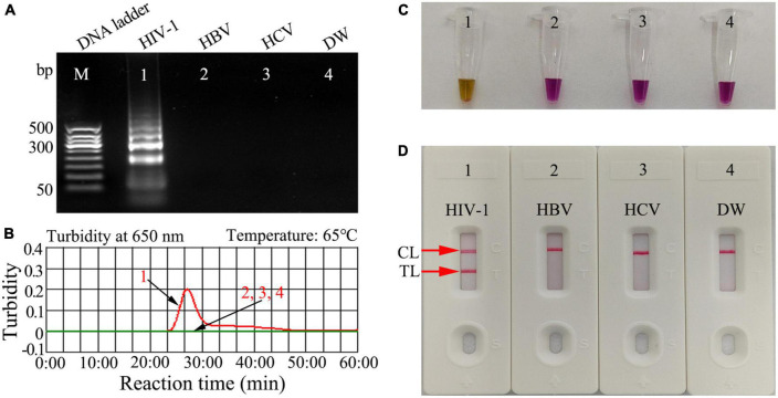 FIGURE 3