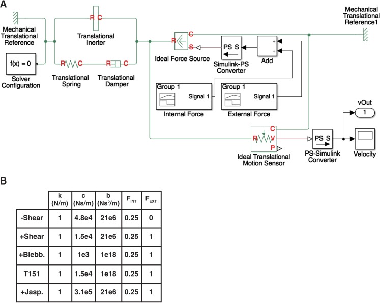 Figure 2—figure supplement 1.