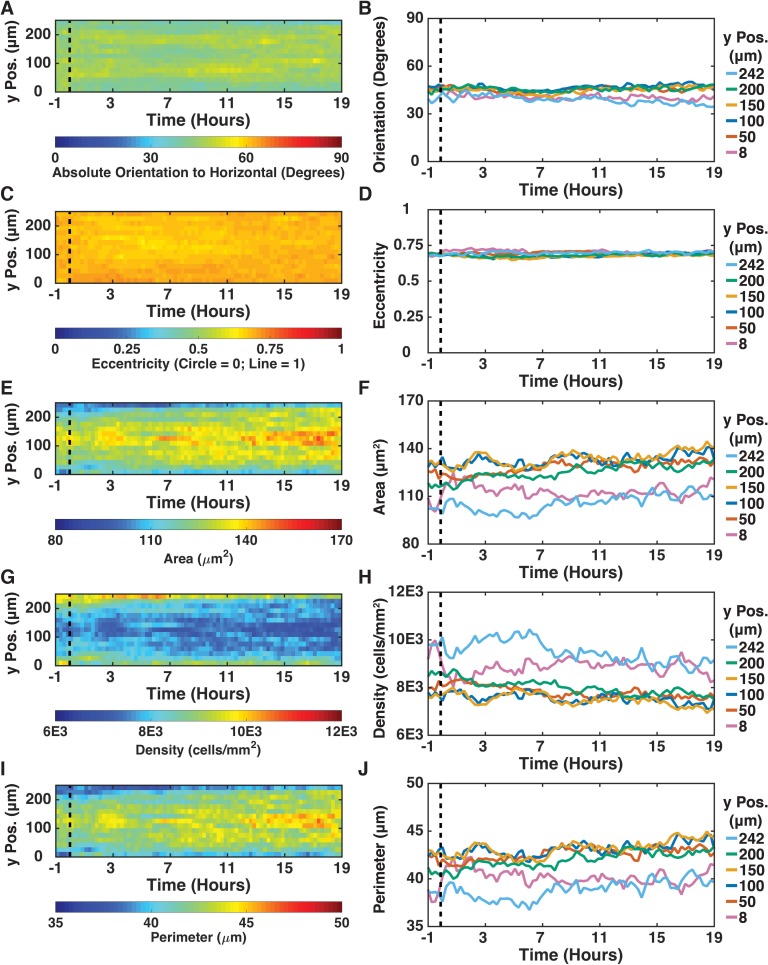 Figure 3—figure supplement 2.