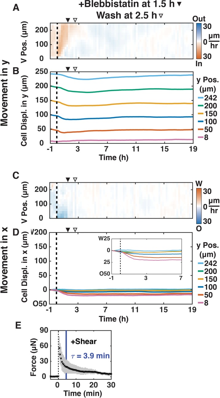 Figure 3—figure supplement 1.