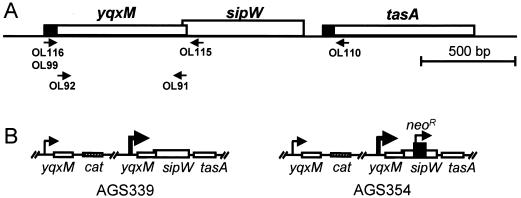 FIG. 1