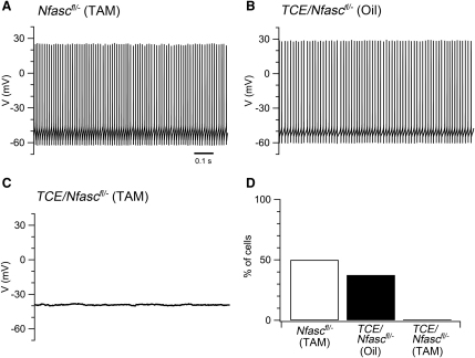 Figure 6