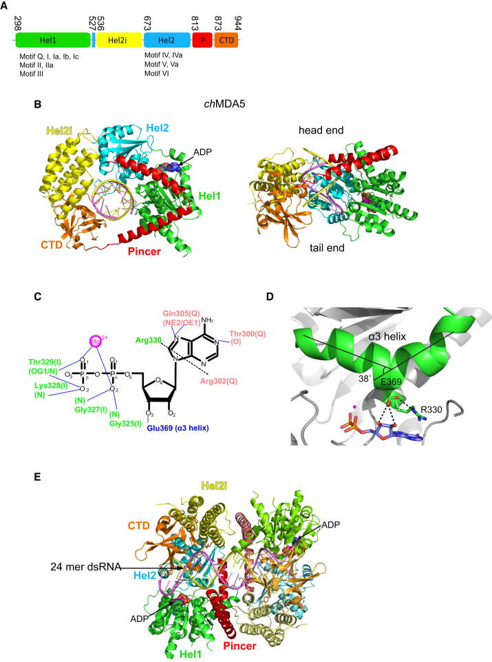 Figure 4