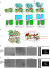 Figure 6