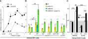 Figure 7