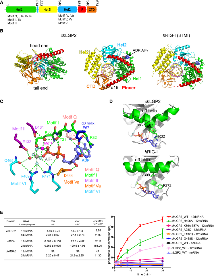 Figure 1