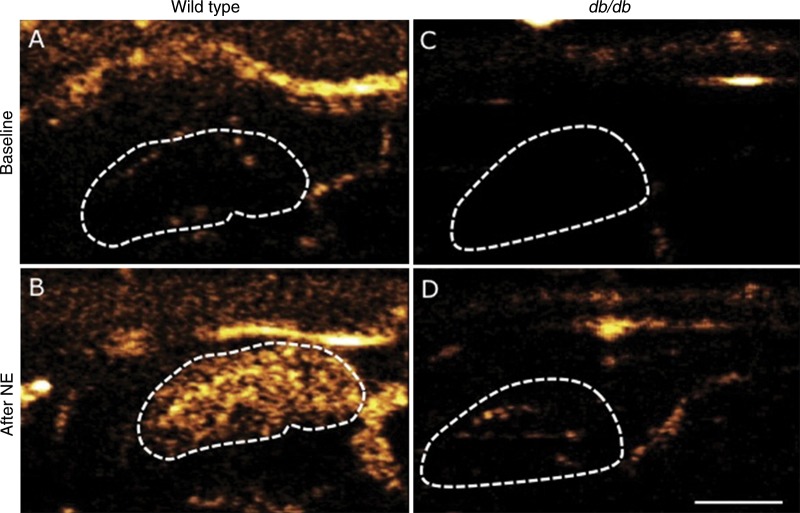 Figure 7: