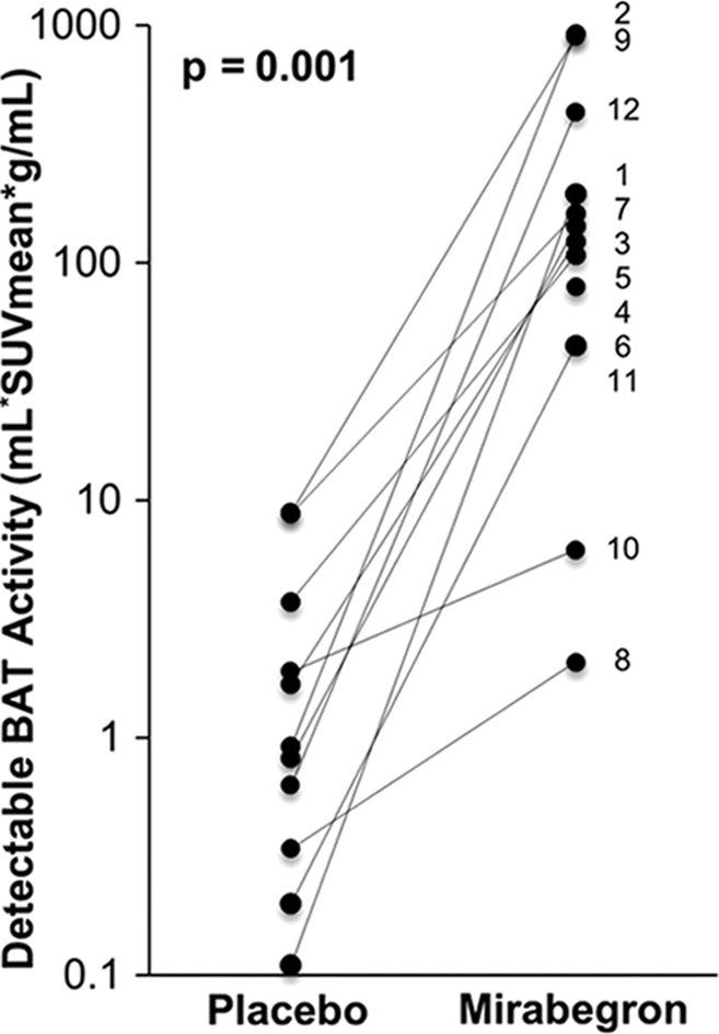 Figure 4b: