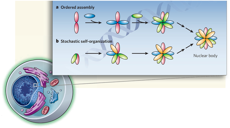 Figure 1 |