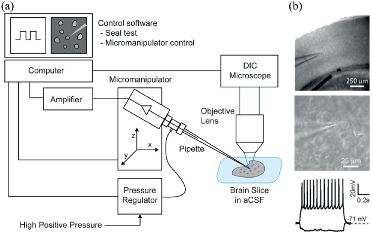 Figure 3.