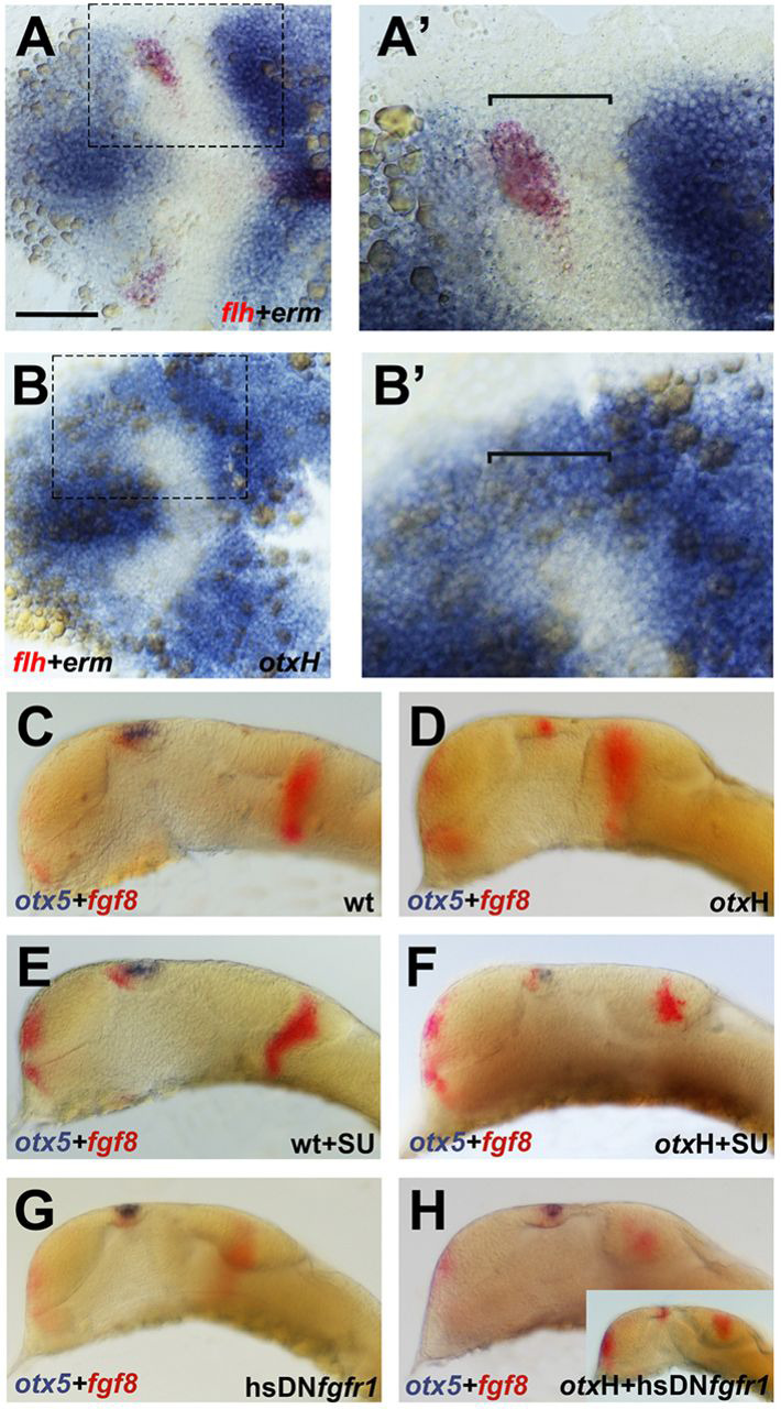 Fig. 6.