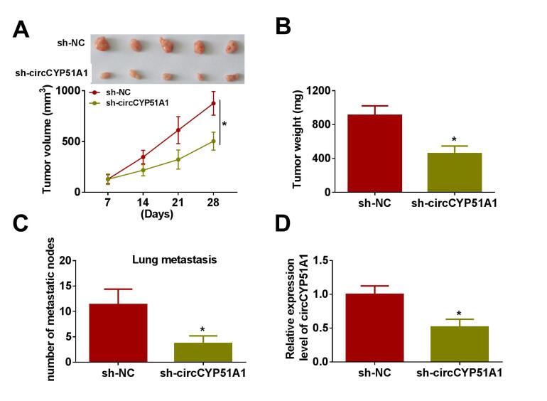 Supplementary Fig. 3