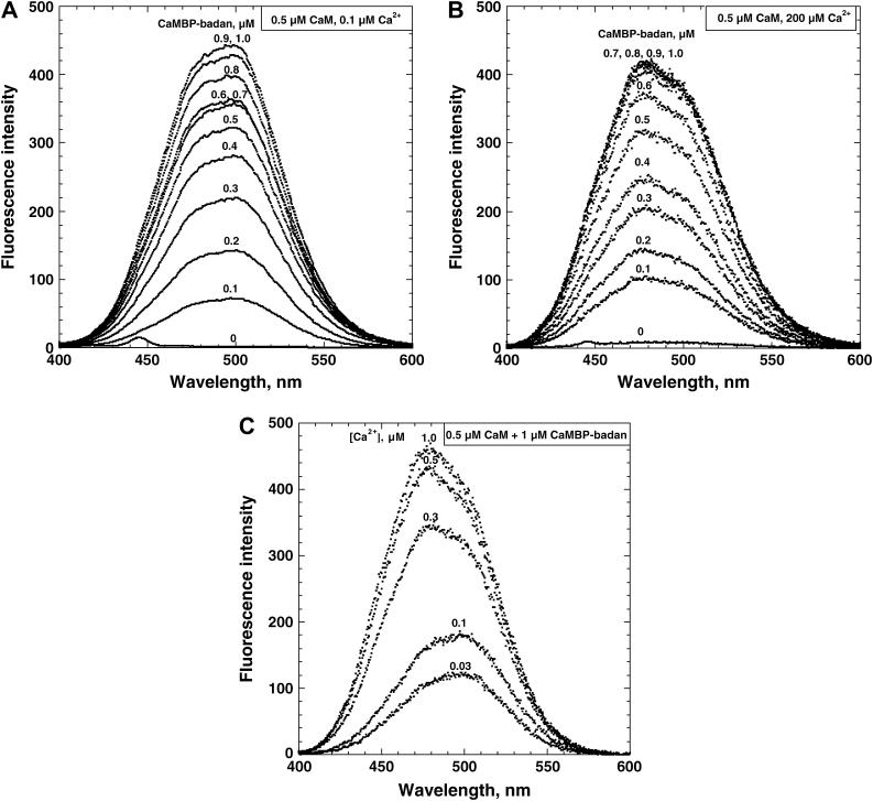 FIGURE 4