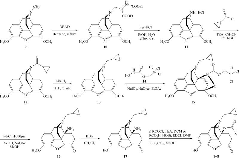 Scheme 1