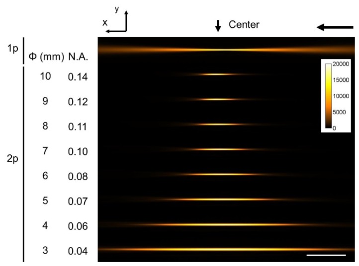 Fig. 2