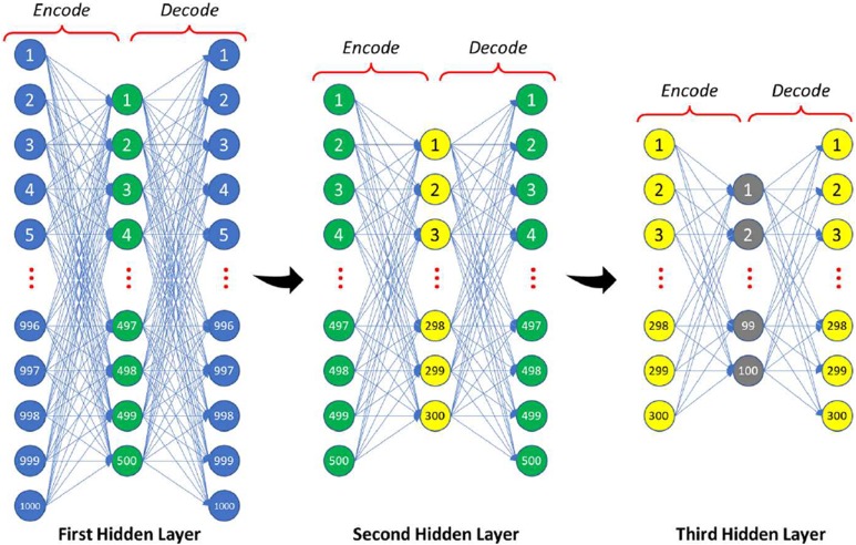 Figure 5.