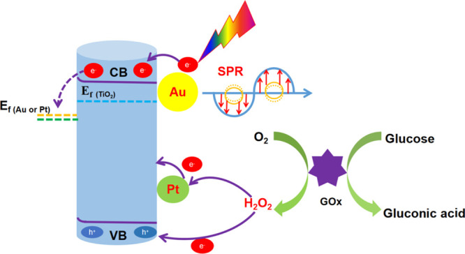 Scheme 2