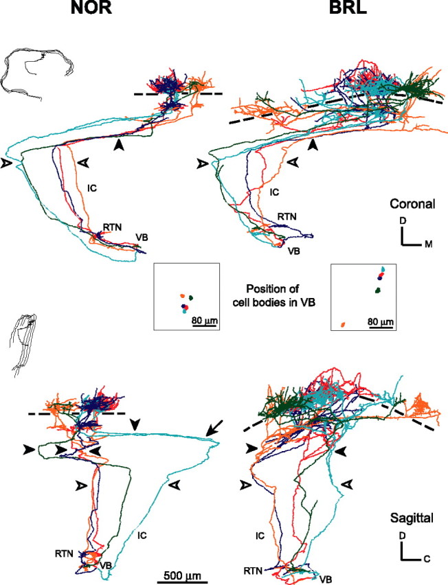 Figure 3.