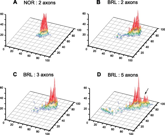 Figure 11.