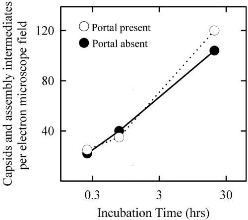 FIG. 2.