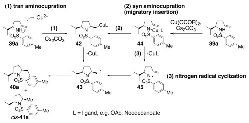 Scheme 3