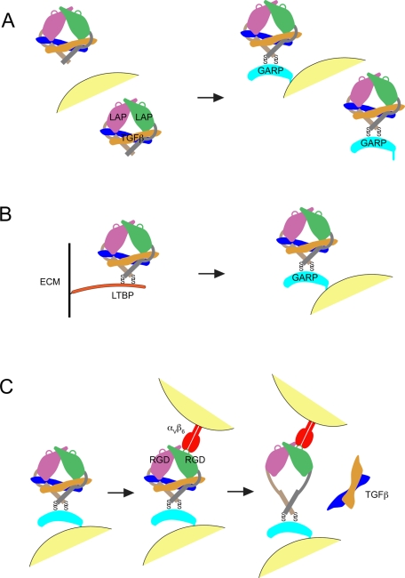 FIGURE 9: