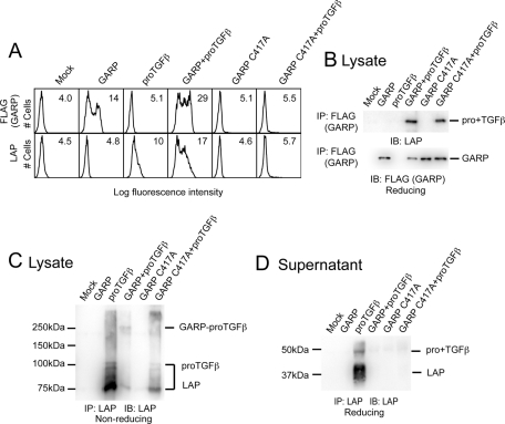 FIGURE 3: