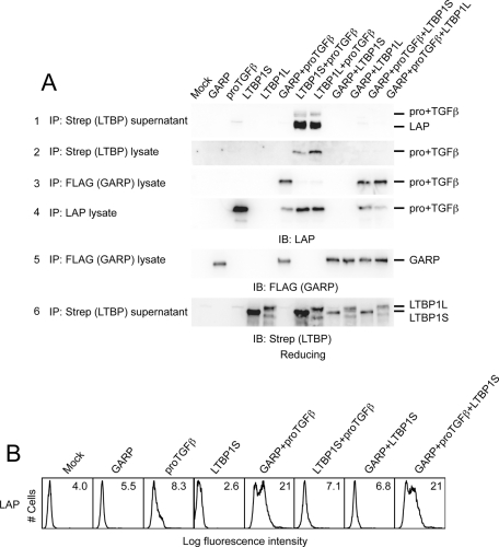 FIGURE 5: