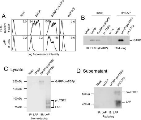 FIGURE 1: