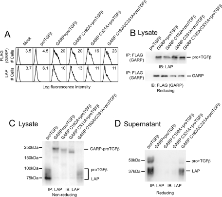 FIGURE 4: