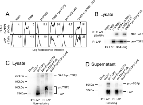 FIGURE 2: