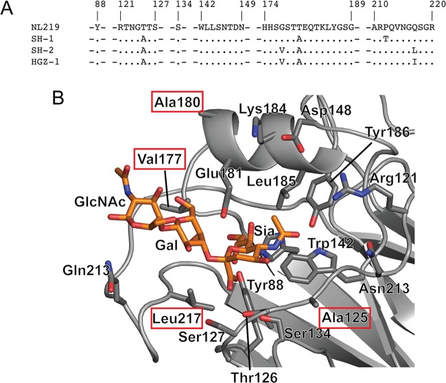 Fig 5