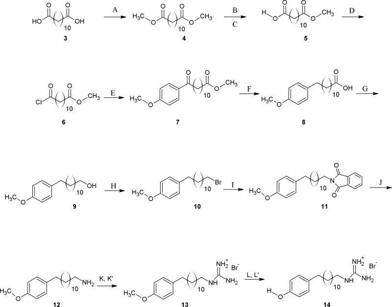 Scheme 3