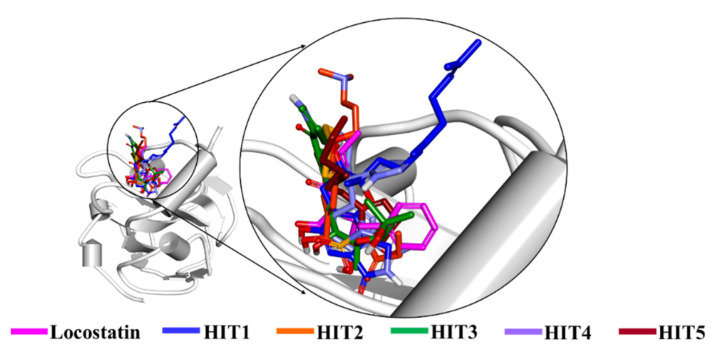 Figure 5