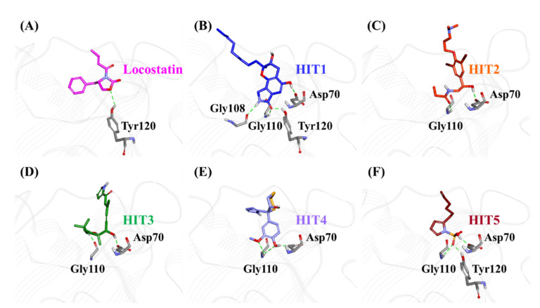 Figure 6