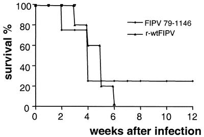 FIG. 8.