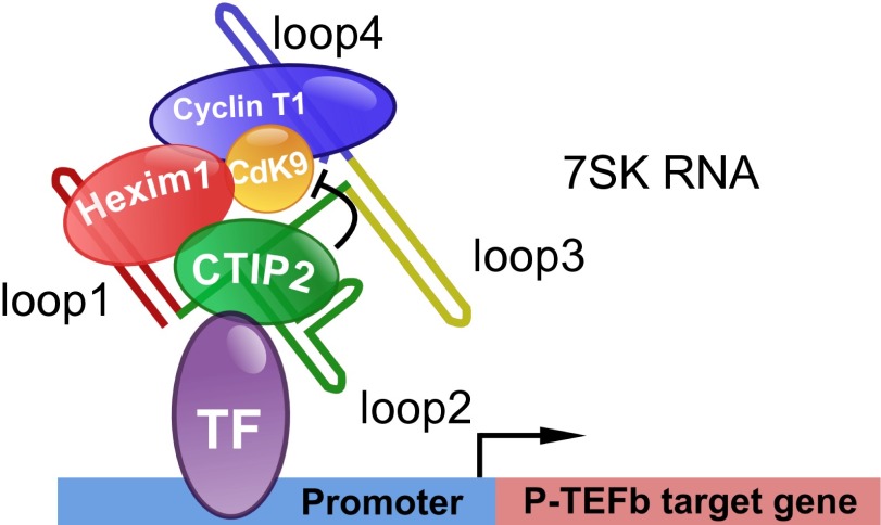 Fig. 7.