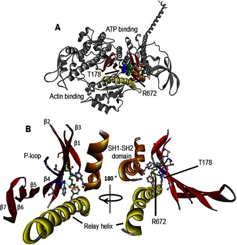 FIGURE 1.