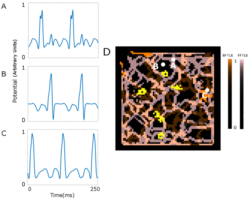 Figure 4: