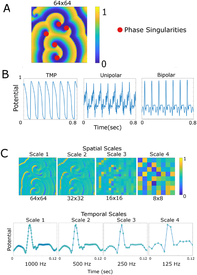 Figure 1: