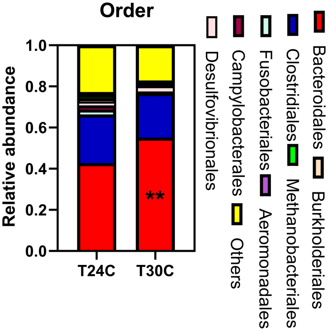 Figure 6