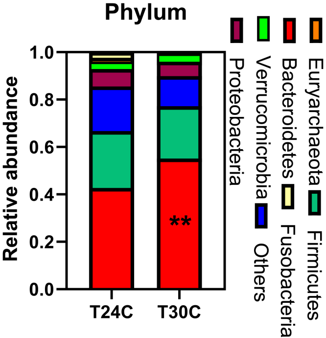 Figure 5