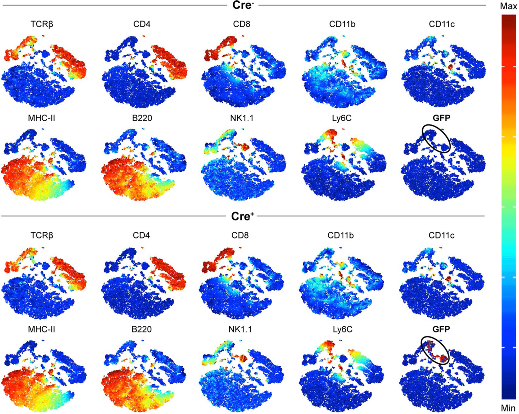 Extended Data Fig. 1 |