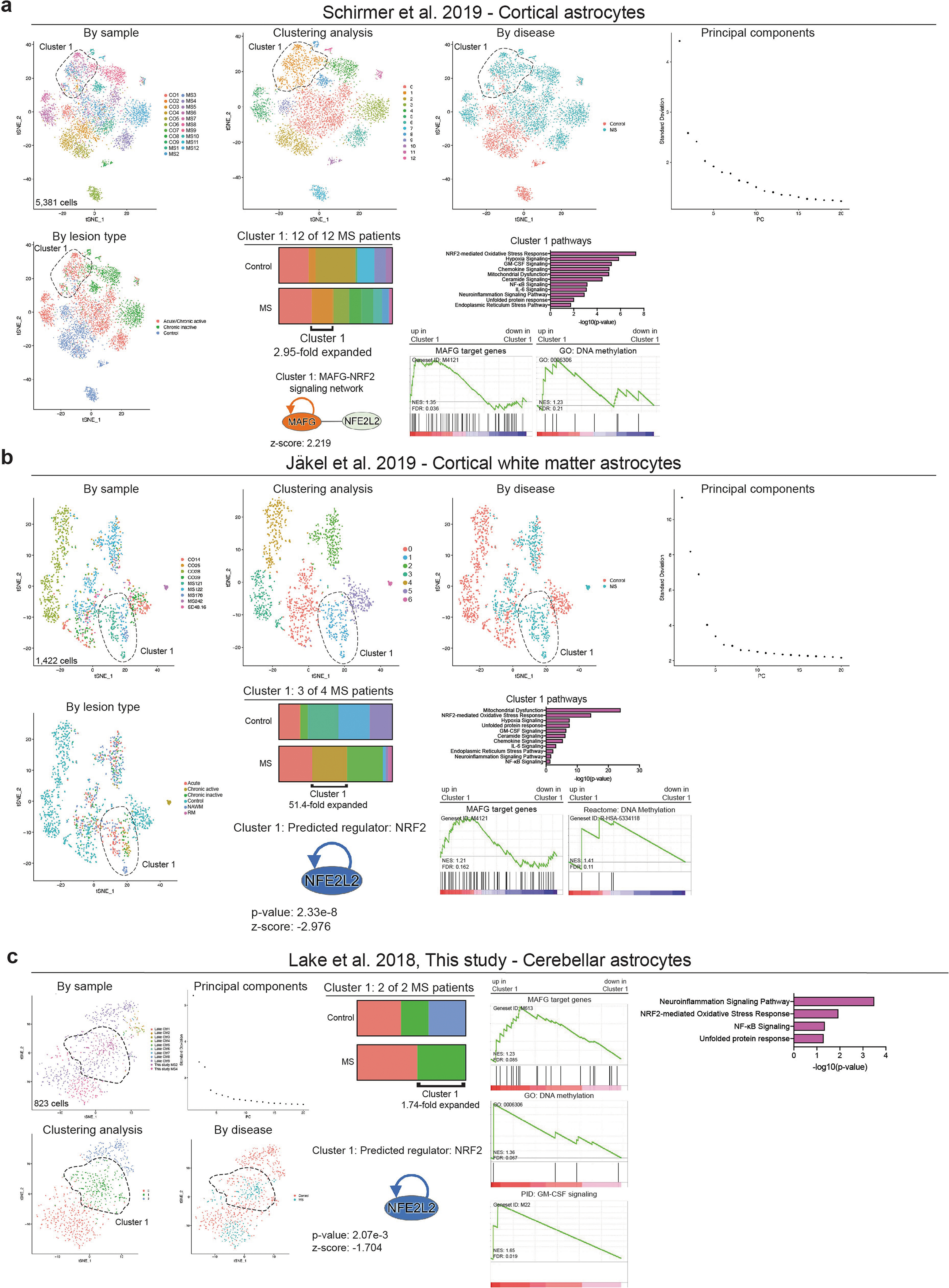 Extended Data Fig. 9 |