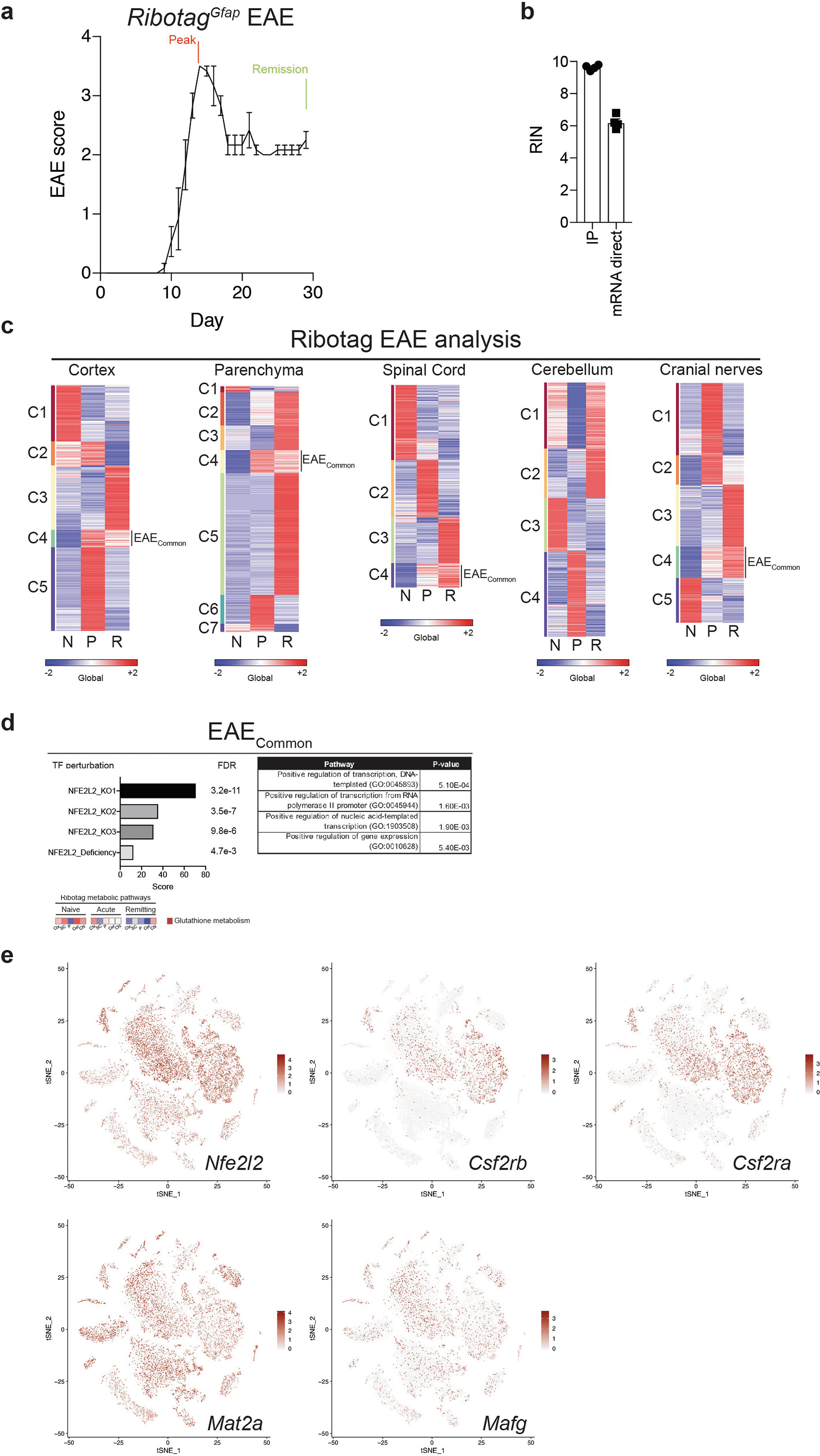 Extended Data Fig. 5 |