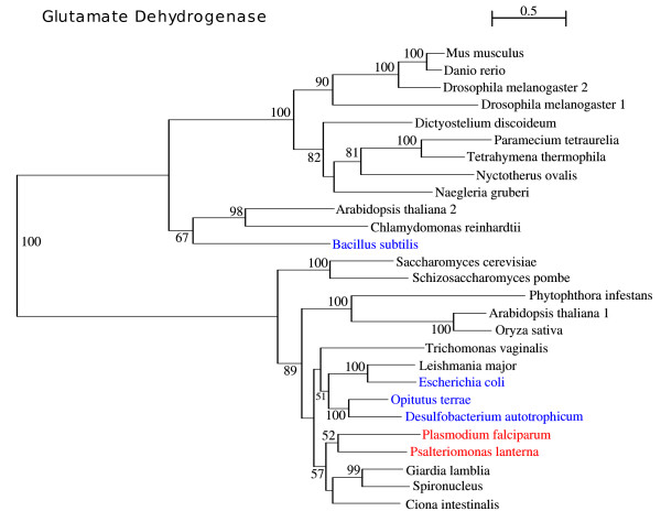 Figure 11