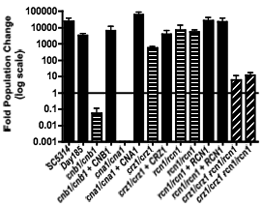 Figure 7