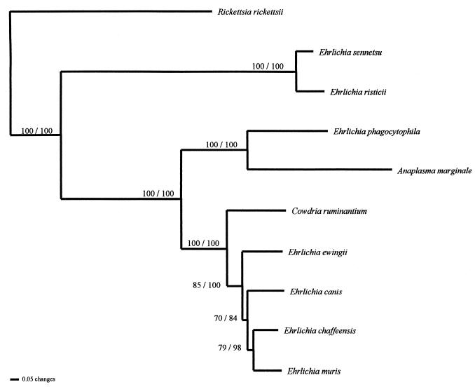 FIG. 1