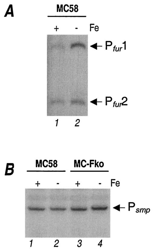 FIG. 6.