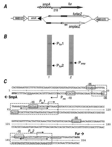 FIG. 5.